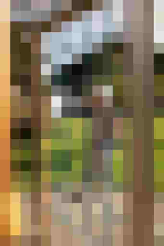 Kind spielt an einem Klettergerüst im Freien auf dem Thomanhof in Saalfelden.