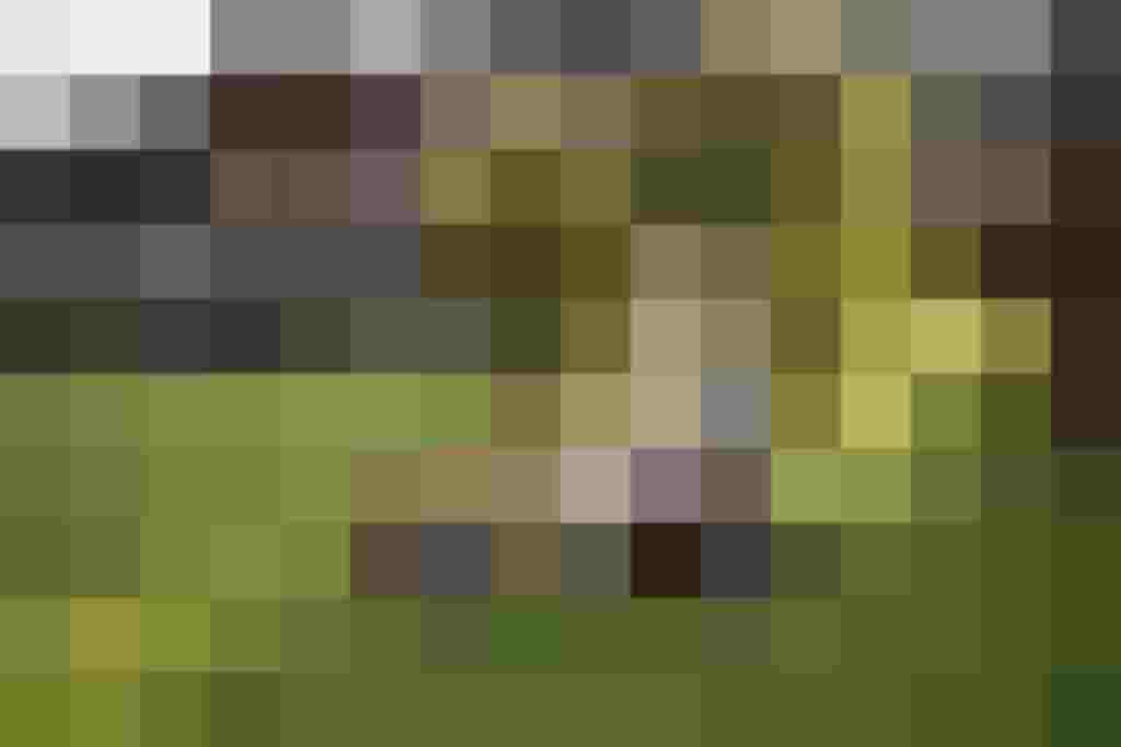 Junge fährt glücklich auf einem Kart im Grünen vor Bauernhofhintergrund.